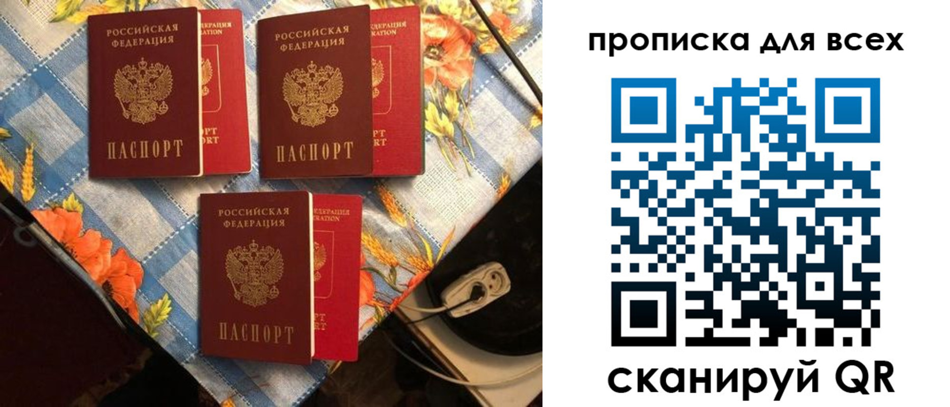 регистрация в Судогде